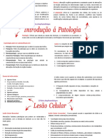 Mapas Patologia