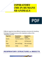 Chap8F4 Respiratory Systems in Humans and Animals