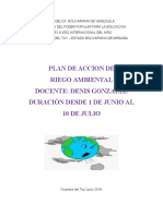 Plan de Accion de Riesgo Ambiental Denis Gonzalez Corregido
