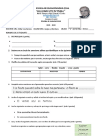 Prueba de Diagnostico Septimo