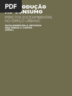Da produção ao consumo impactos socioambientais
