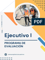 Progrma Ejeuctivo 1