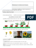 Guía 1° Año Oa 3 Las Plantas Ciencias Naturales