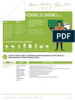 Conductor Profesional Camiones - v1