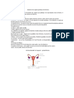 TP de Gynécologie PDF