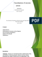 Theories of Mechanism of Enzyme