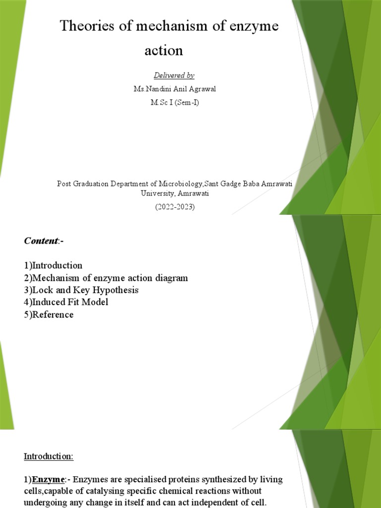 Enzyme Action Theories: Induced Fit vs. Lock and Key | PDF | Active ...