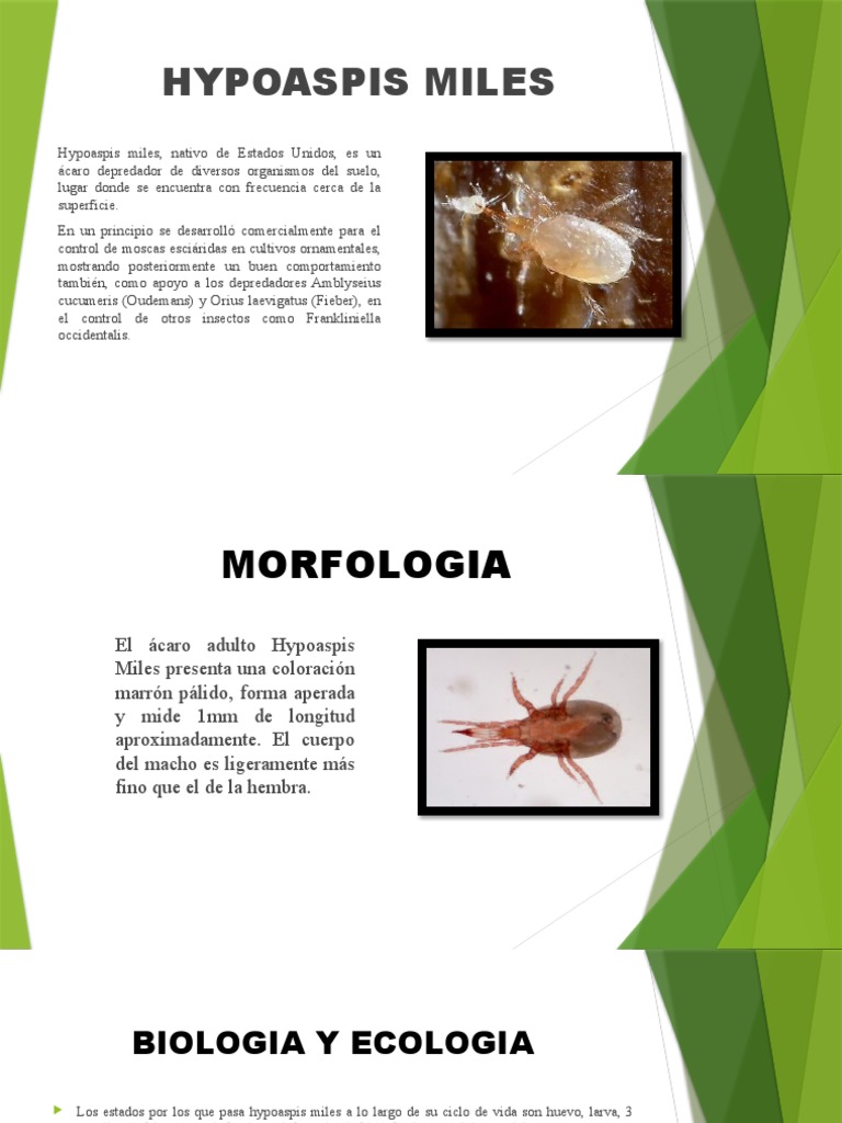 hypoaspis-miles-pdf