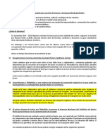 Manifiesto (3)