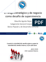 Maurilio Aguilar - Riesgo Estratégico y de Negocio CCPCR