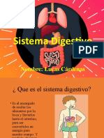 Presentacion Lucas Cardenas Sistema Digestivo