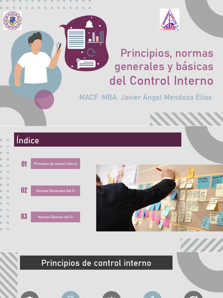 Normas Básicas de Control Interno Gubernamental | PDF | Calidad ...