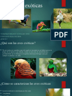 Aves Exóticas