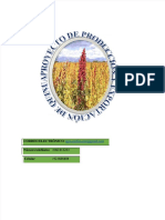 PDF Proyecto de Inversion III Quinua - Compressr