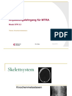 Skelettsystem Knochenmetastasenppt