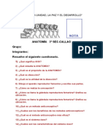 Feed Back Anatomia 02