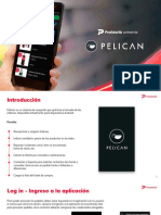 Manual Pelican 2023