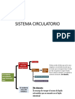 Sistema Circulatorio