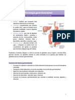 14.fisiología Gastrointestinal