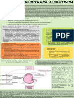 Eje Renina-Angiotensina-Aldosterona
