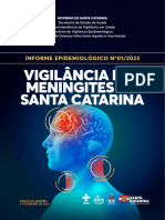 Informe Meningite01 2023