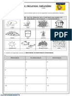 Los Recursos Naturales: Nombre: Curso