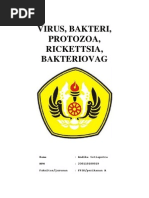 Download VirusBakteriProtozoaRickettsiaBakteriofage z by Eskasatri Oka SN65143959 doc pdf