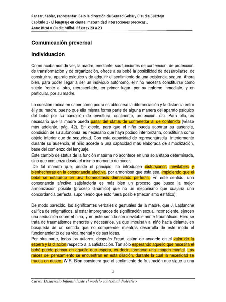 Individuacion PDF