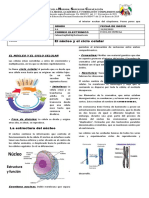 Ciclo Celular, Nutricion Reproduccion Funcion Relacion Celula Procariota