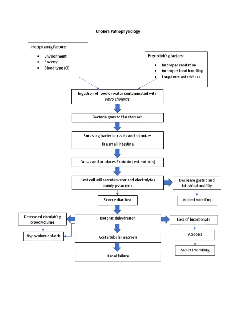 Cholera Pathophysiology Pdf