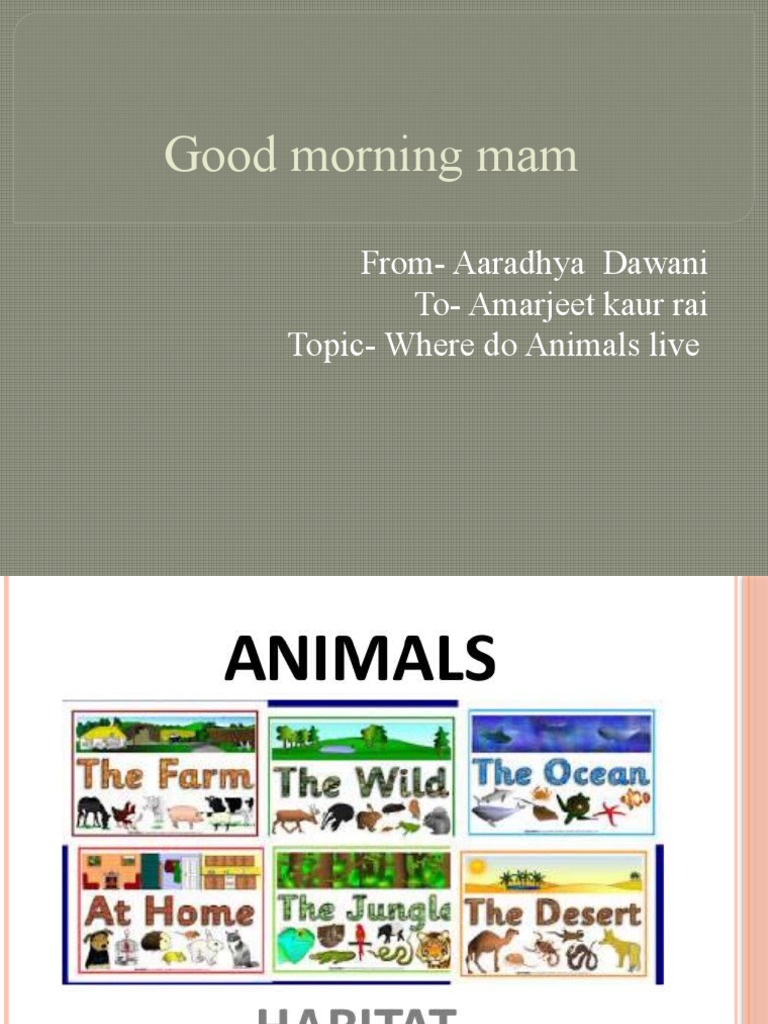 good-morning-mam-pdf