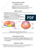 HAPP LEC 6 Articular System