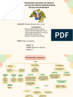 Mapa Mental (10) - Grupo 05