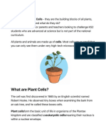 What is a Plant Cell?