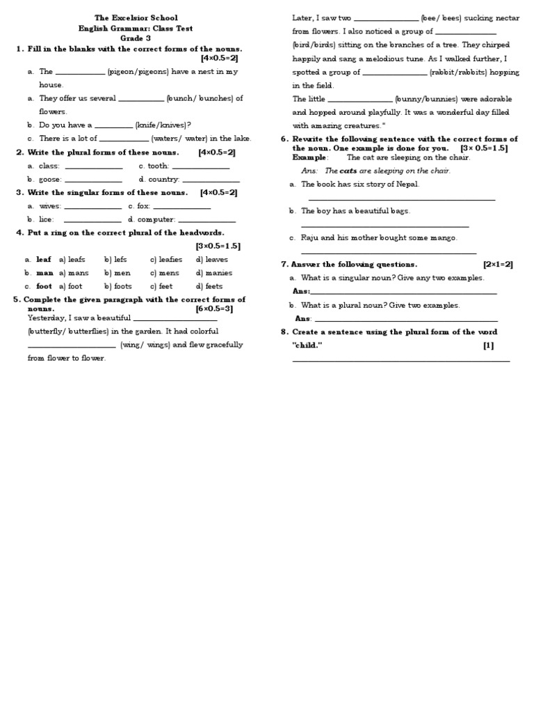 Grade 3 Singular and Plural Nouns Worksheet | PDF | Plural | Noun