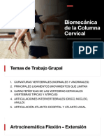 Semana 9 - Biomecánica de La Columna Cervical