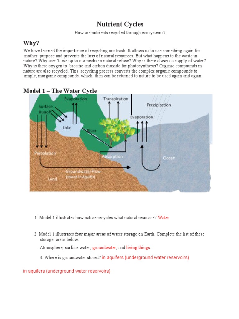 pogil-nutrient-cycle-pdf-water-water-cycle