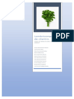 V de Gowin - Lombricomposta de Cilantro - Trabajo en Equipo - 4sDM