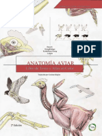 Anatomia Aviar