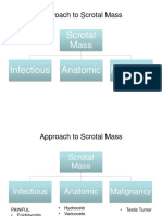 Scrotal Masses Testicular Cancer