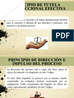 Semana 7 - Principios Procesales