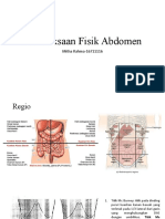 PX Abdomen-Mitha