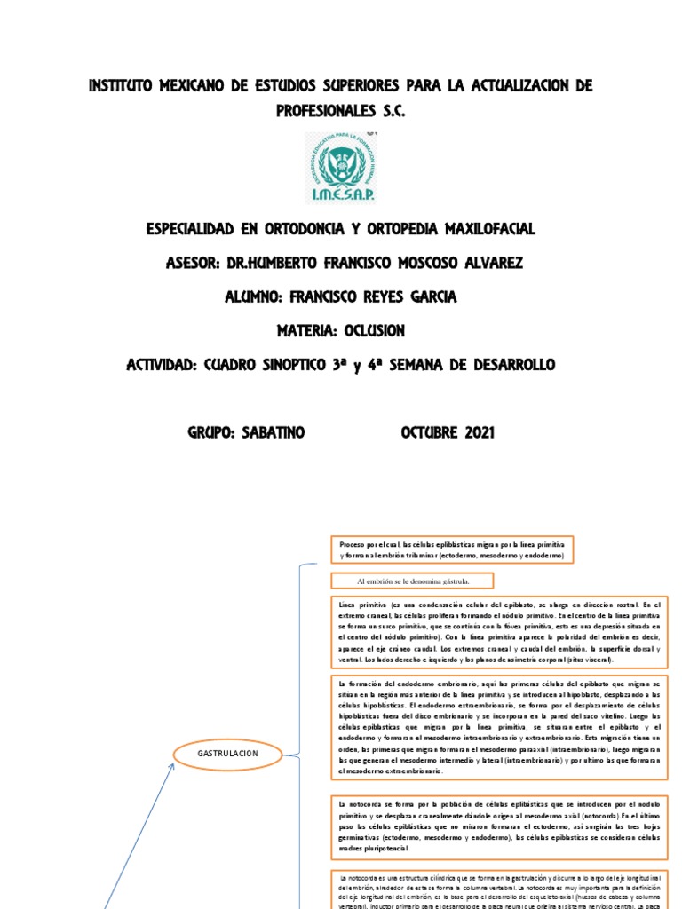 Cuadro Sinoptico 3a y 4a Semana