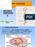 Sistema Nervioso II - Snc-Snp-Sna