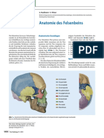 Anatomia Del Hueso Temporal Aleman