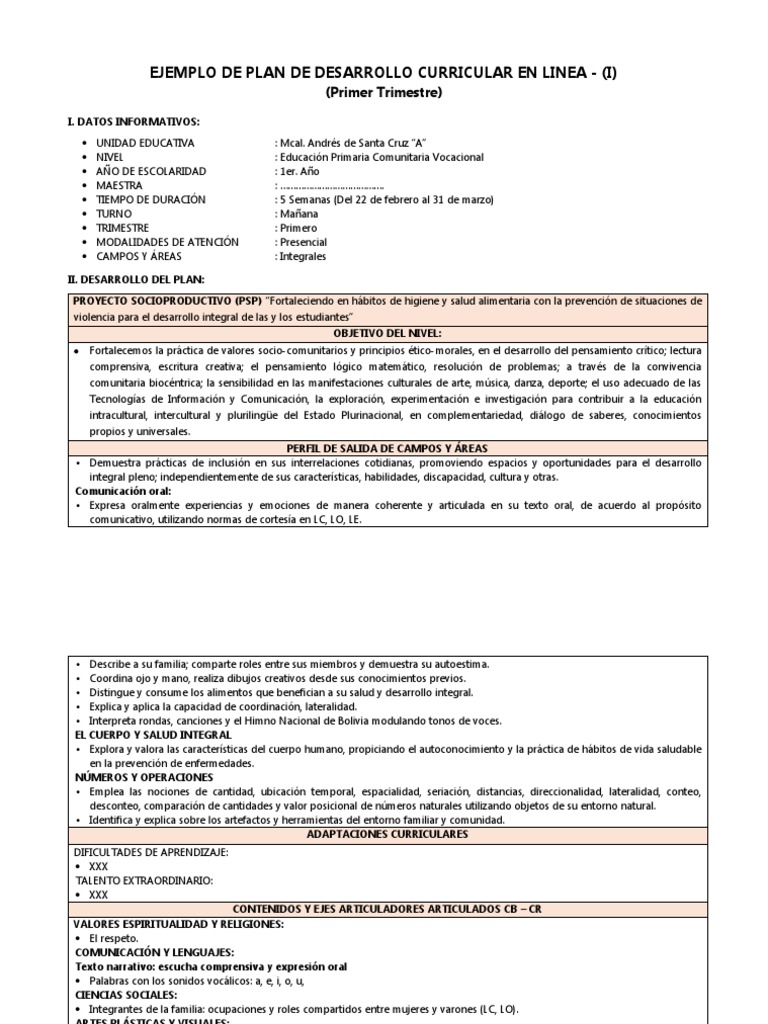 Plan de Desarrollo Curricular 2025 | PDF | Evaluación | Inclusión ...