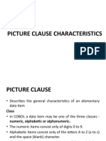 Picture Clause Characteristics