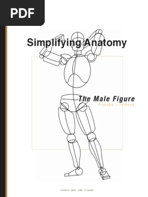 Male Simplifying Anatomy Printable Worksheet PDF