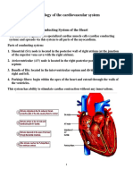The-Cardiovascular-System