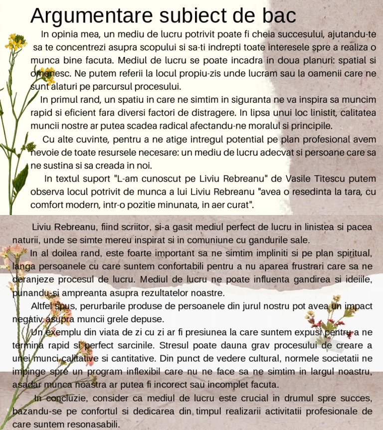 ARGUMENTATIVER TEXT SCHREIBEN visual data 2